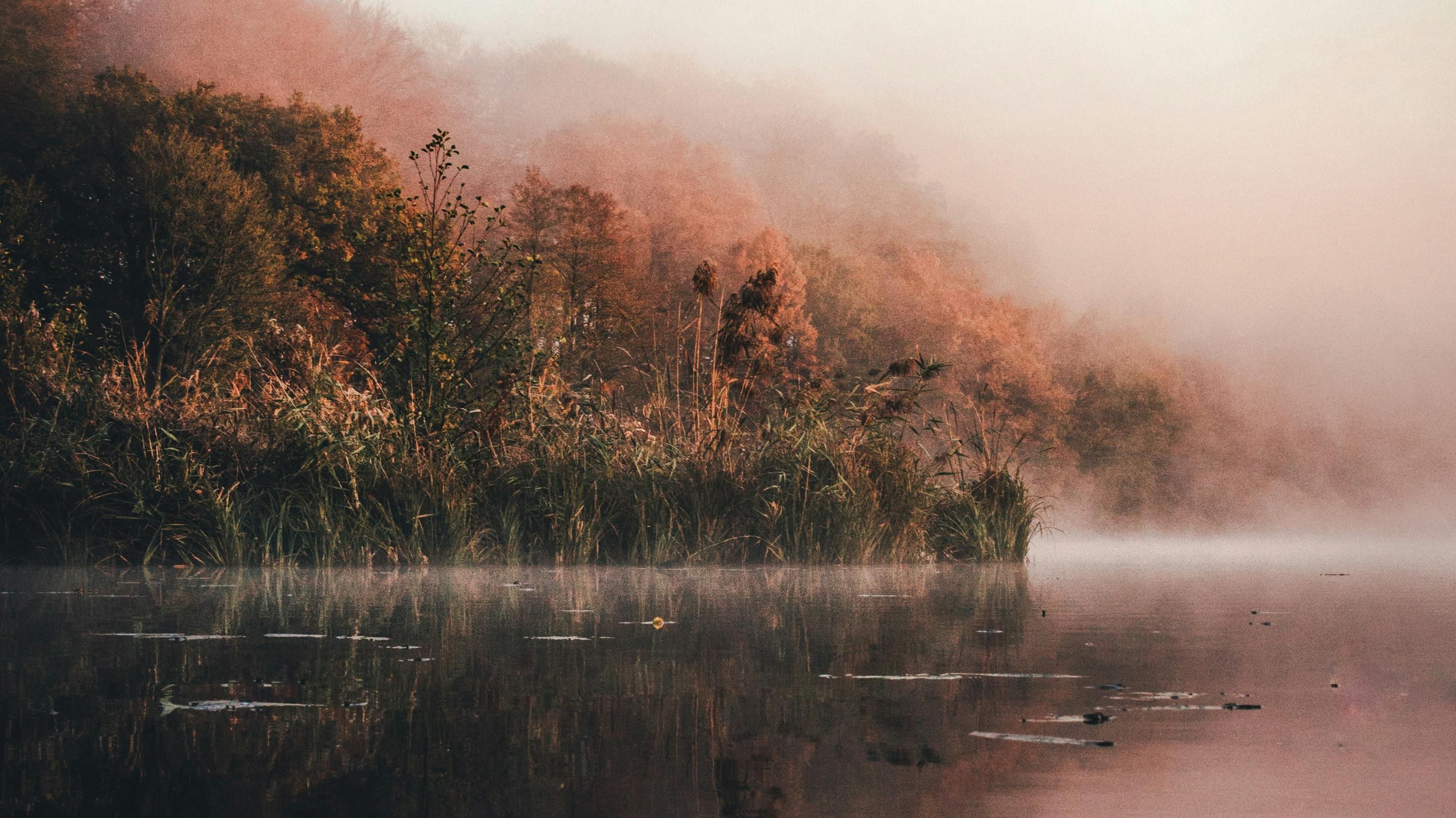 Легенди з України: про міста, містичні історії Карпат та інших регіонів