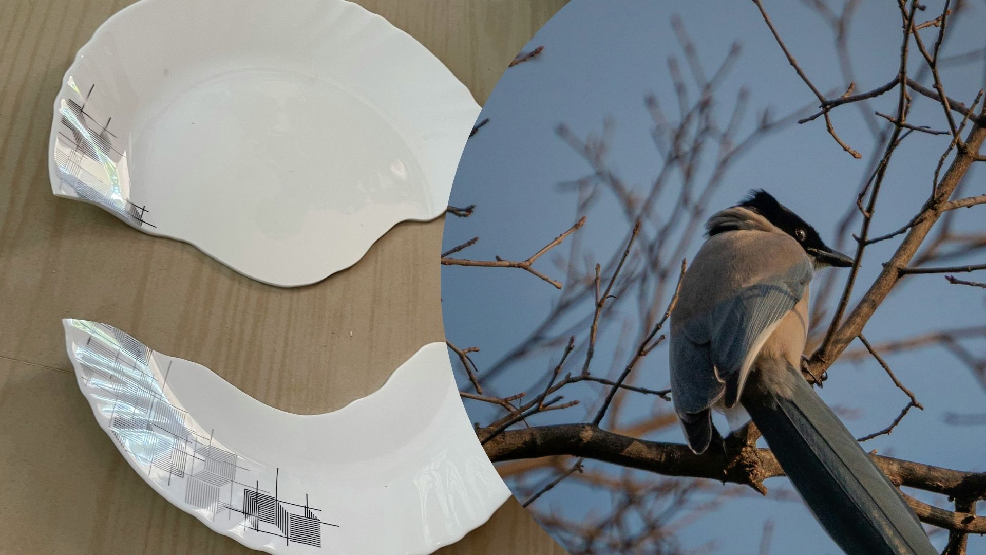 Традиции со всего мира, которые удивляют туристов - Интересное 24