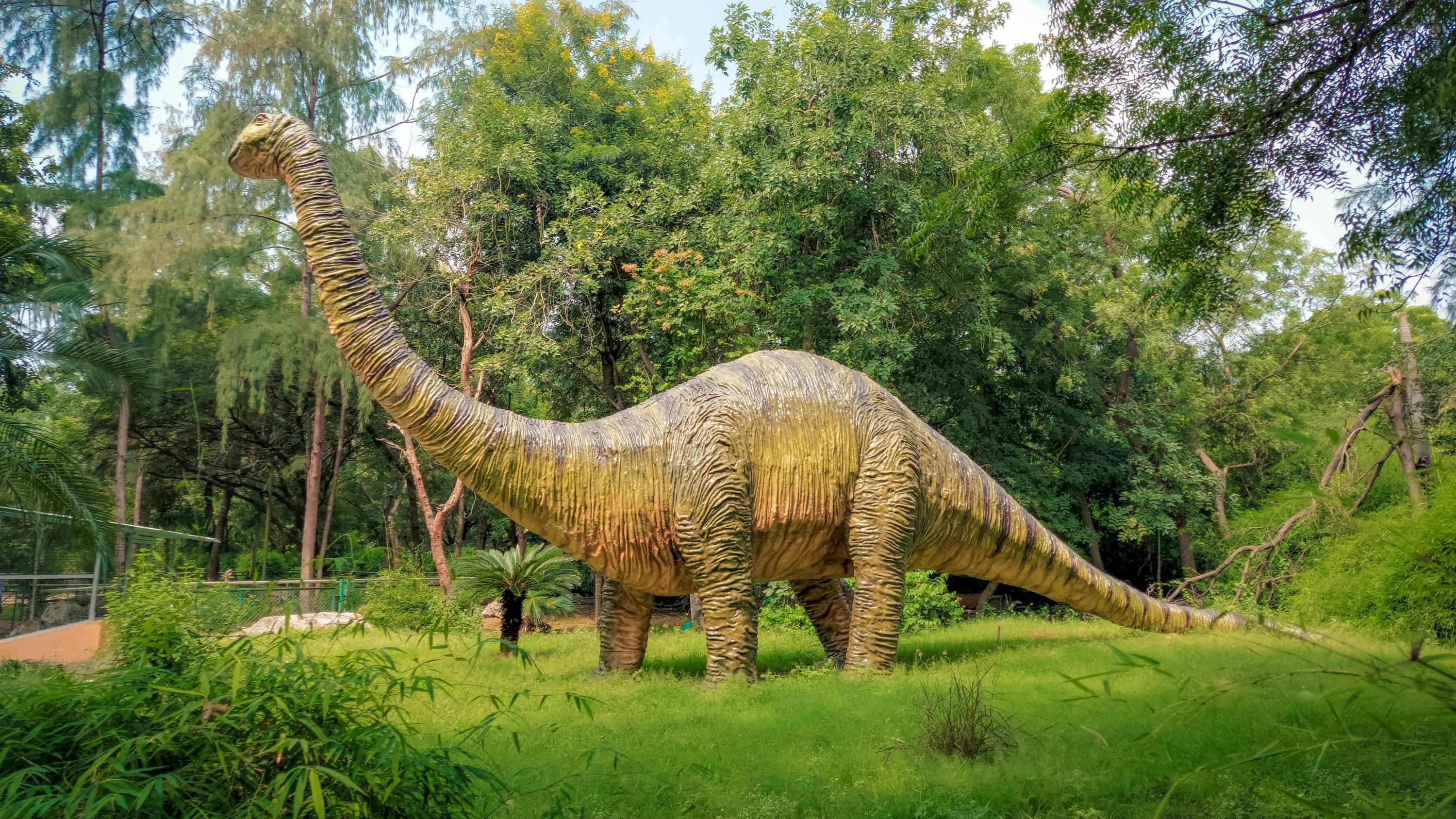 Жили ли в Украине динозавры и где именно Жили ли в Украине динозавры и где именно