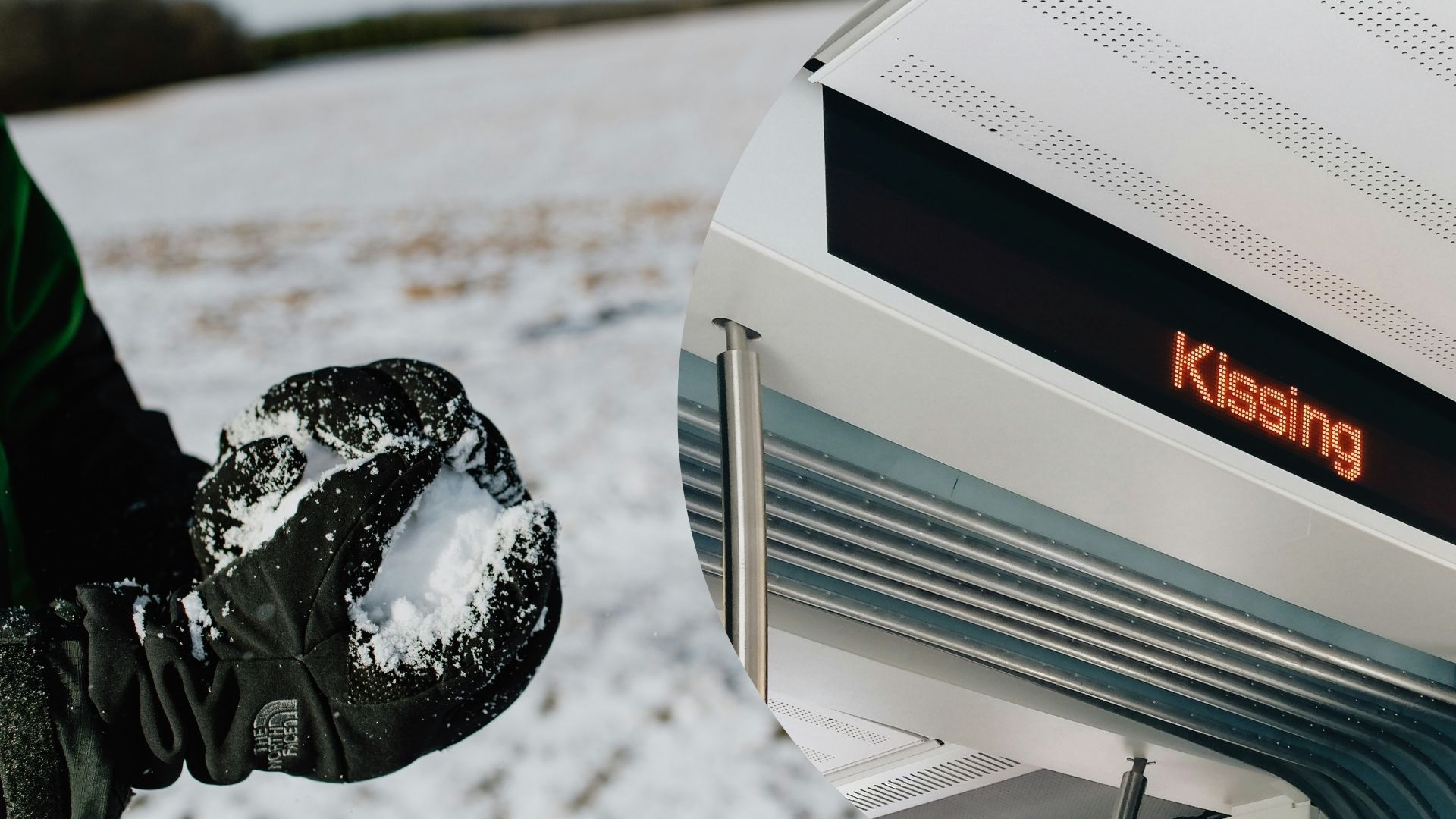 Дивні закони - Цікаве 24 Дивні закони - Цікаве 24