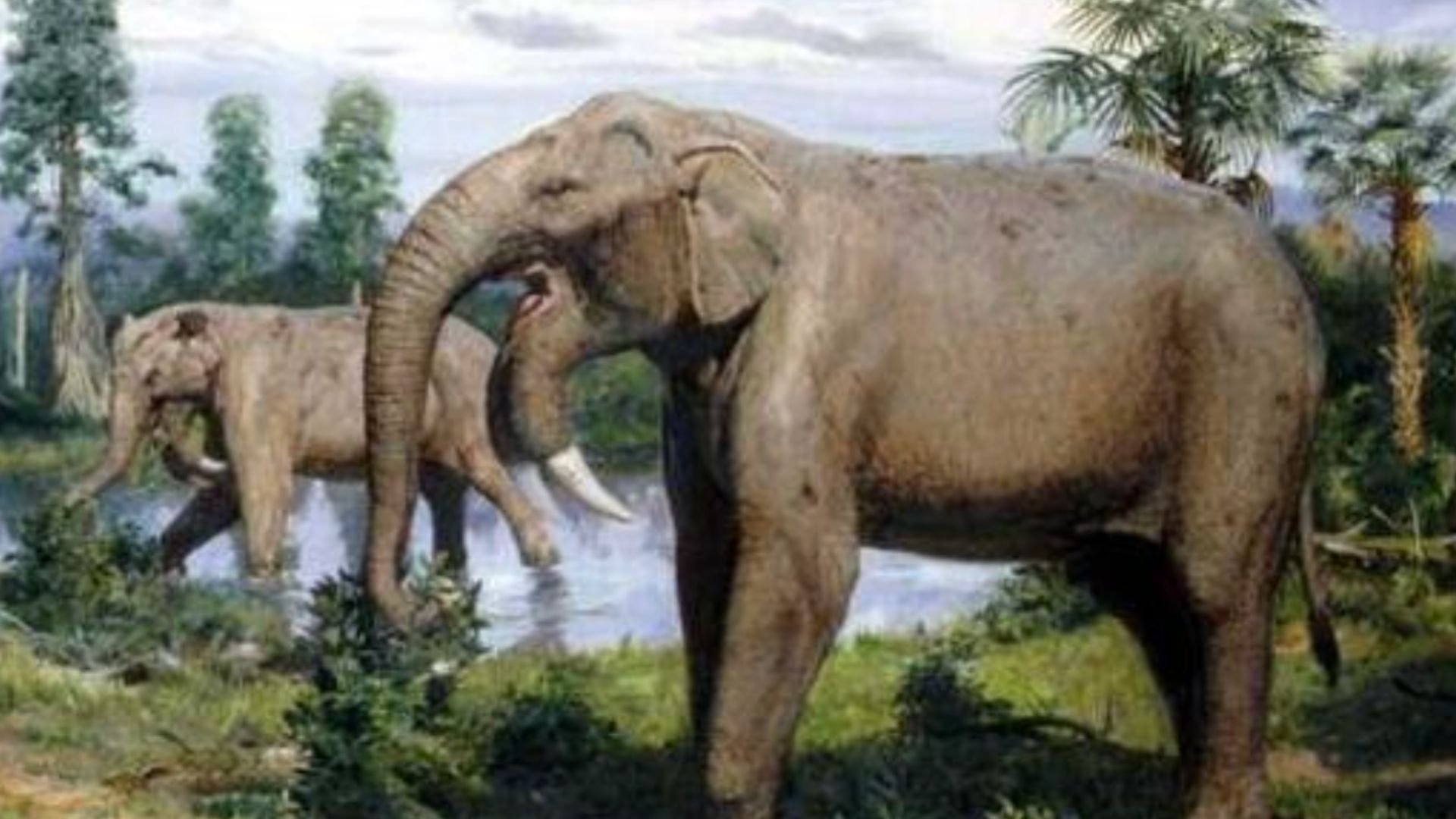 Какие животные жили в Украине до нашей эры - Интересное 24