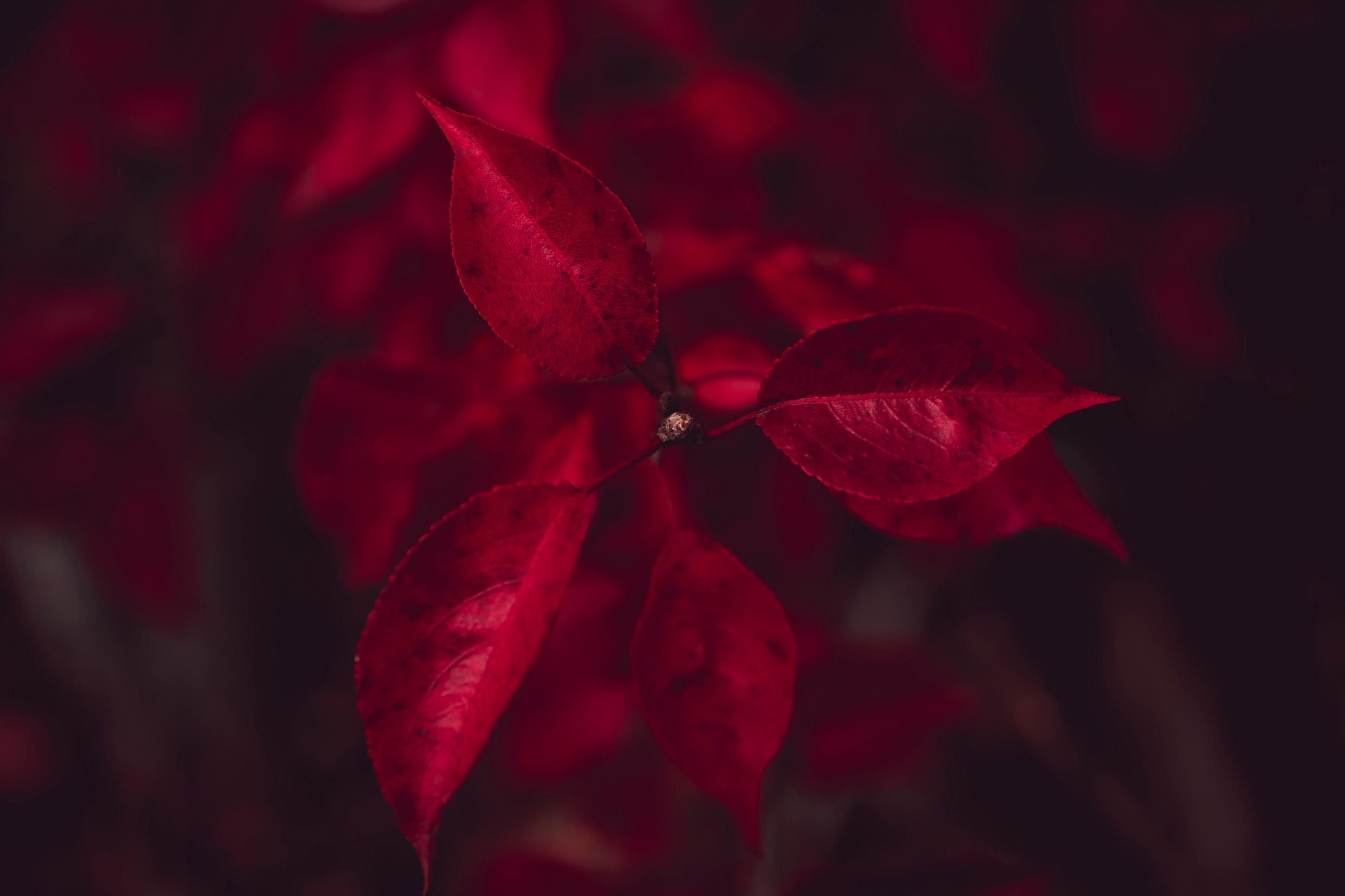 Запрещенные когда-то цвета в разных странах мира - Интересное 24 Запрещенные когда-то цвета в разных странах мира - Интересное 24