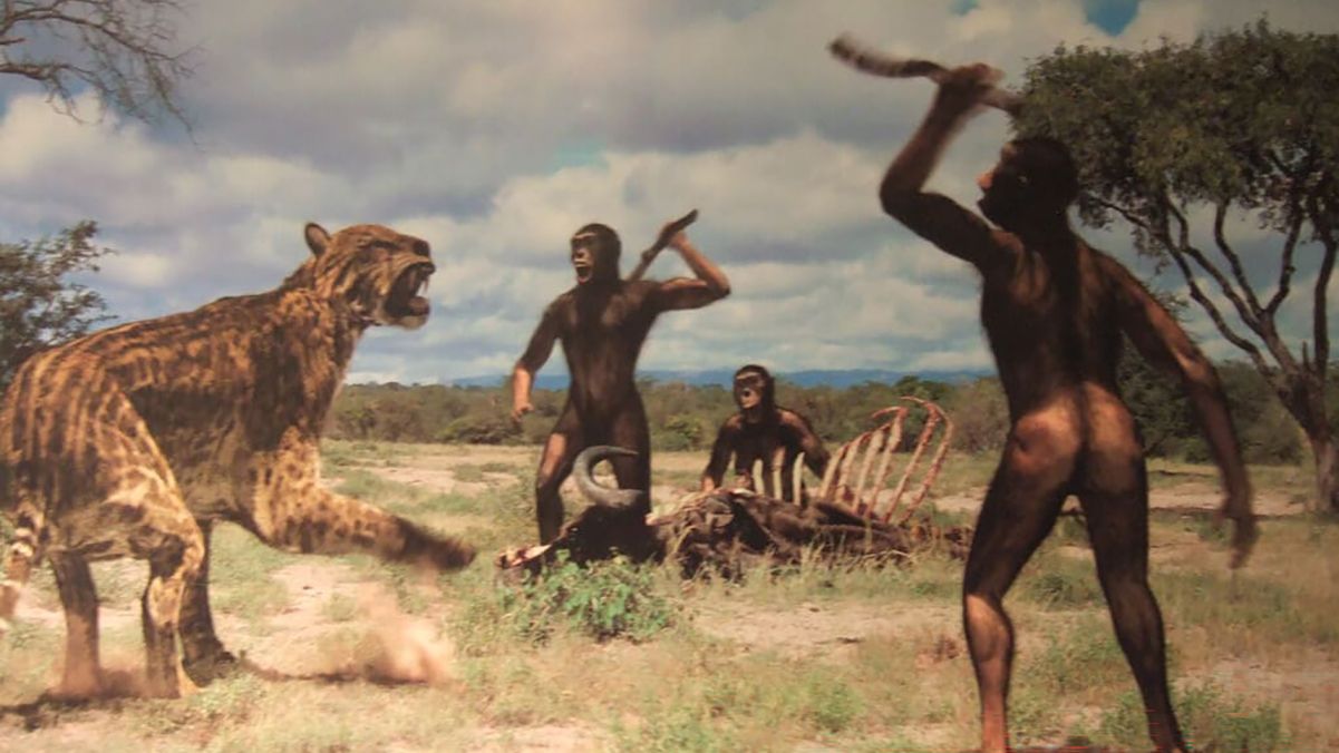 Существовали миллионы лет назад: какие животные охотились на наших предков