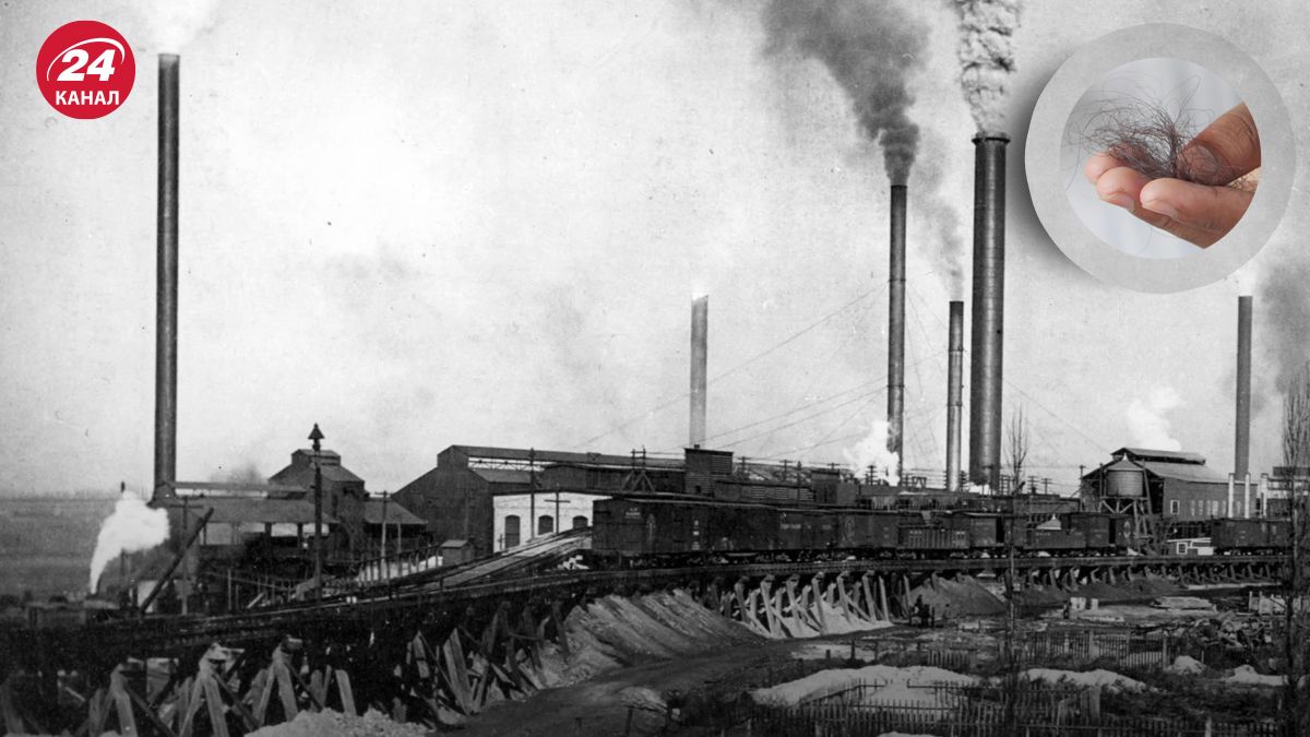 Старые волосы помогли выяснить, насколько отравленными были США в прошлом