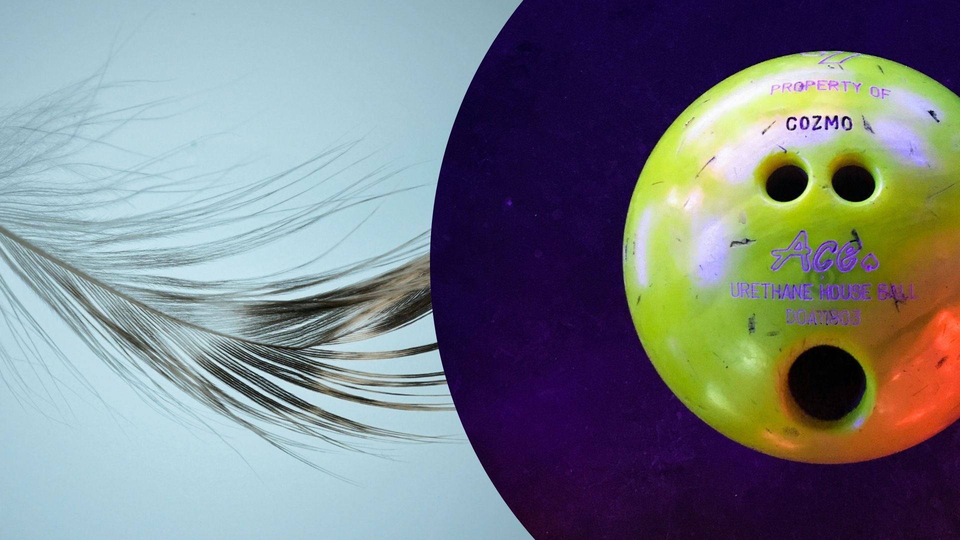 Что быстрее: шар для боулинга или перышко Что быстрее: шар для боулинга или перышко