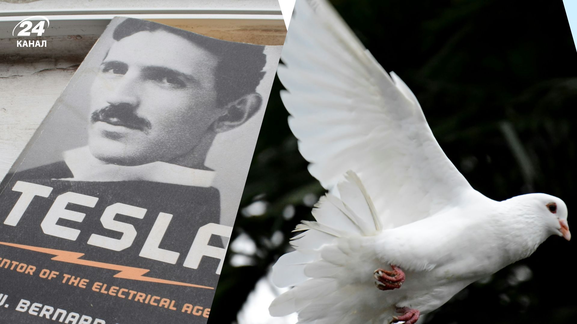 Ці факти про нікола Теслу здивують кожного