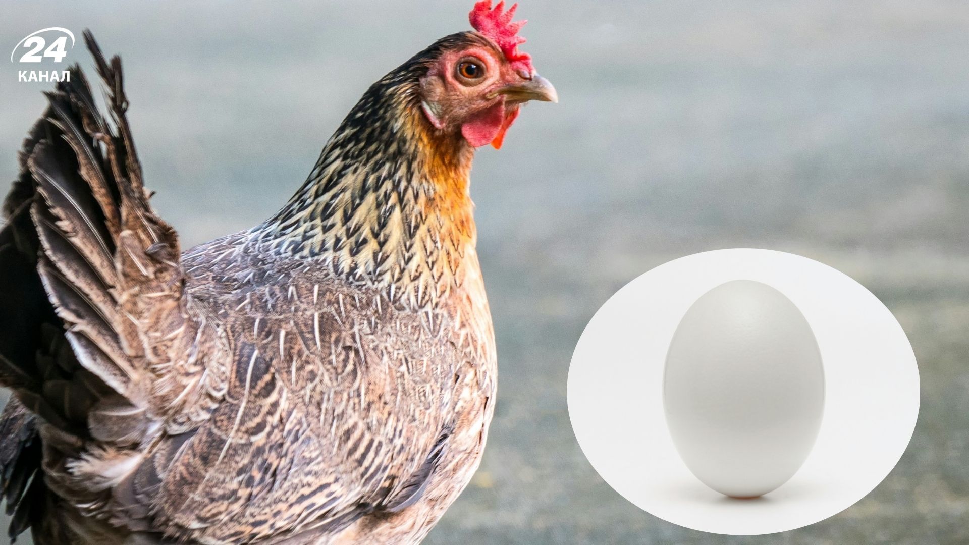 Вчені дали відповідь на одвічну загадку Вчені дали відповідь на одвічну загадку