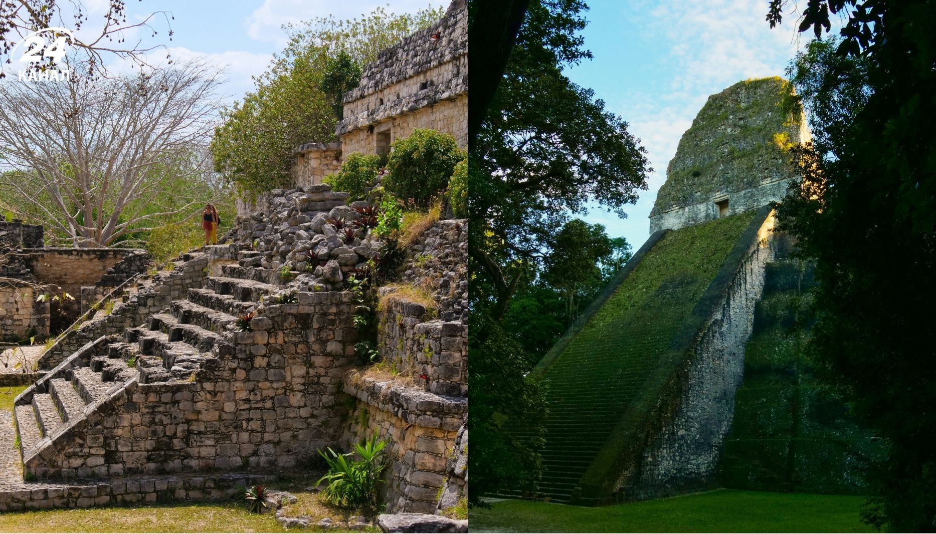 Неймовірні факти