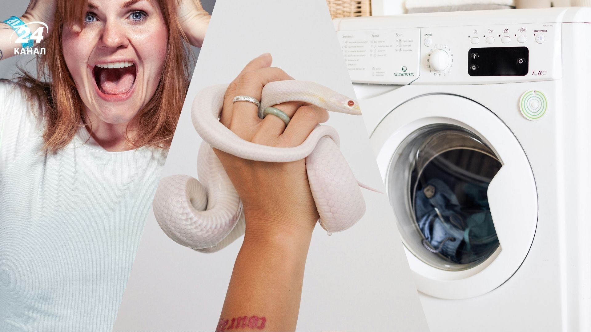 Удивительная находка в стиральной машине Удивительная находка в стиральной машине