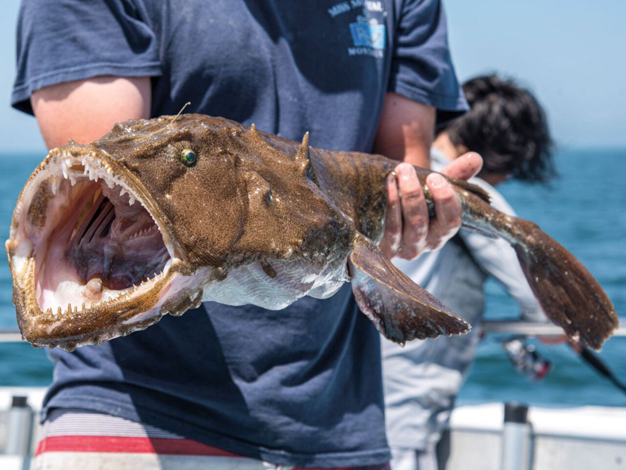 До такого хижака не кожен наблизиться