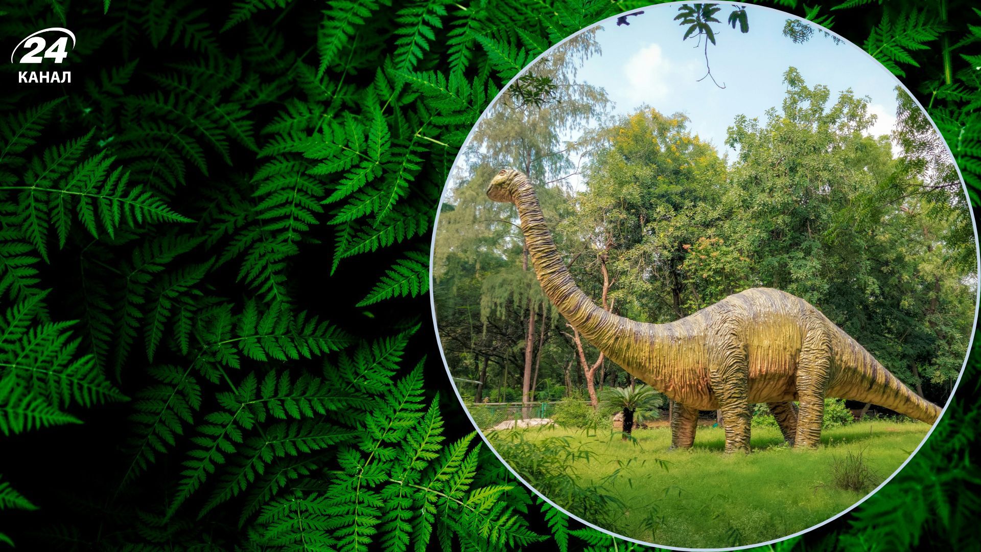 Растение с настоящей историей